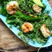 shrimp-salad.jpg