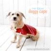 3_doggycape.png