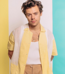 Fall outfits inspired by Harry Styles - GirlsLife