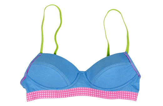 Fact or fiction: Wearing a bra stops your breasts from growing - GirlsLife