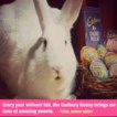 bunny-cadbury.jpg