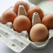5_eggs.jpg