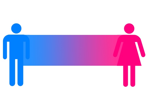 A blue figure of a man symbol on the left, a pink figure of a woman symbol on the right, and a gradient from blue to pink between them.
