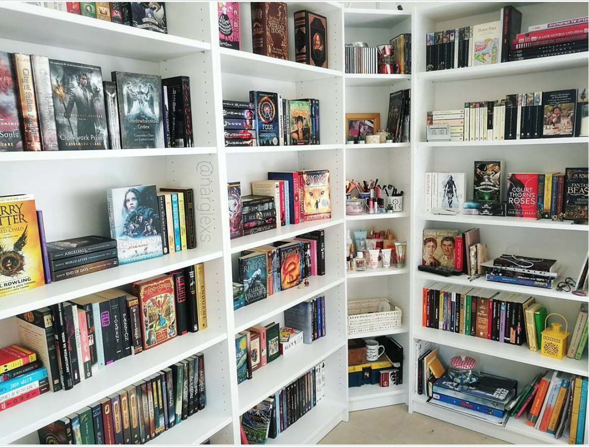 10 Amazing Bookshelves That Are Total Shelfgoals Girlslife