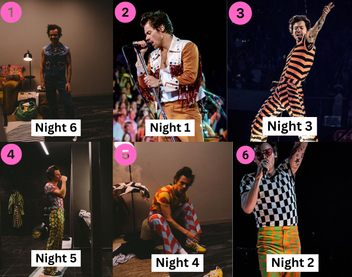 Harry Styles Love On Tour outfit review – The PCM Outlook